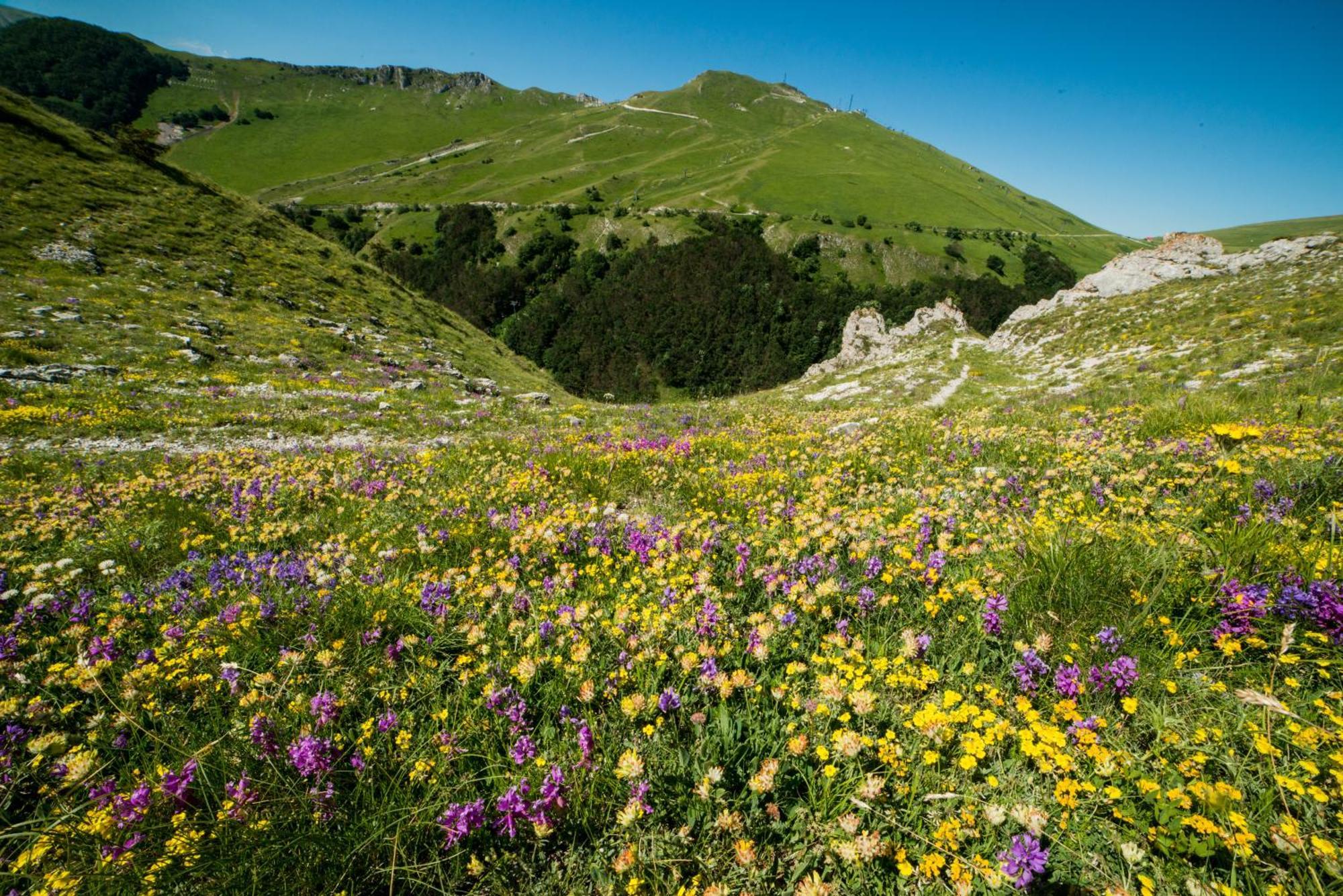 Locanda Della Rocca Сарнано Экстерьер фото